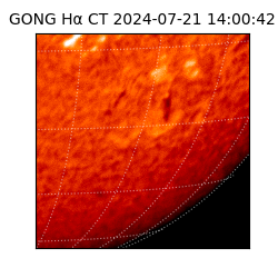 gong - 2024-07-21T14:00:42