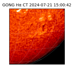 gong - 2024-07-21T15:00:42