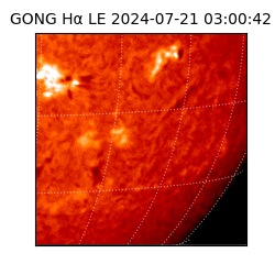 gong - 2024-07-21T03:00:42