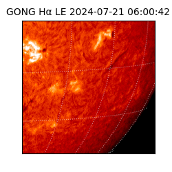 gong - 2024-07-21T06:00:42