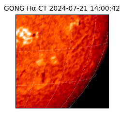 gong - 2024-07-21T14:00:42