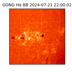 gong - 2024-07-21T22:00:02