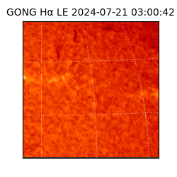 gong - 2024-07-21T03:00:42