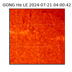 gong - 2024-07-21T04:00:42