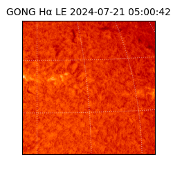 gong - 2024-07-21T05:00:42