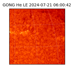 gong - 2024-07-21T06:00:42