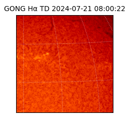 gong - 2024-07-21T08:00:22