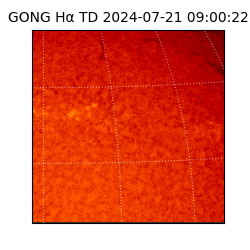 gong - 2024-07-21T09:00:22