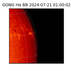 gong - 2024-07-21T01:00:02