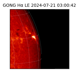 gong - 2024-07-21T03:00:42