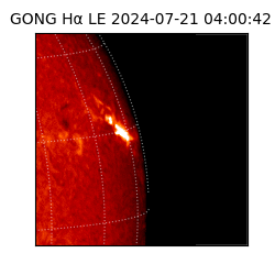 gong - 2024-07-21T04:00:42