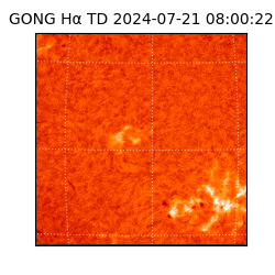 gong - 2024-07-21T08:00:22