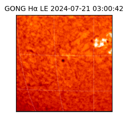 gong - 2024-07-21T03:00:42