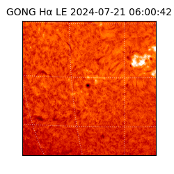 gong - 2024-07-21T06:00:42