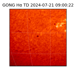 gong - 2024-07-21T09:00:22