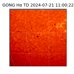 gong - 2024-07-21T11:00:22