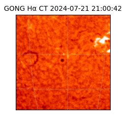 gong - 2024-07-21T21:00:42