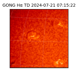 gong - 2024-07-21T07:15:22