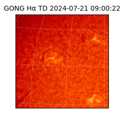 gong - 2024-07-21T09:00:22