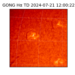 gong - 2024-07-21T12:00:22