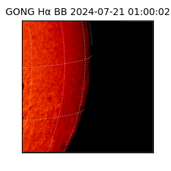 gong - 2024-07-21T01:00:02