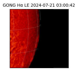 gong - 2024-07-21T03:00:42