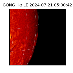 gong - 2024-07-21T05:00:42