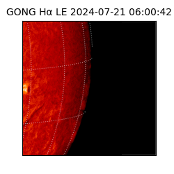 gong - 2024-07-21T06:00:42