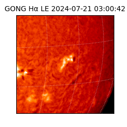 gong - 2024-07-21T03:00:42