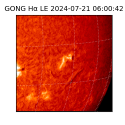 gong - 2024-07-21T06:00:42