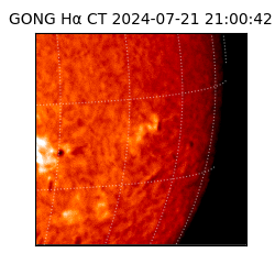 gong - 2024-07-21T21:00:42