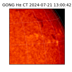 gong - 2024-07-21T13:00:42