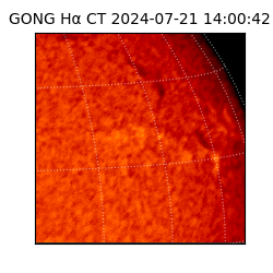 gong - 2024-07-21T14:00:42