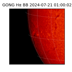 gong - 2024-07-21T01:00:02