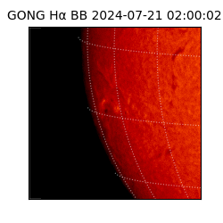 gong - 2024-07-21T02:00:02