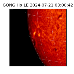 gong - 2024-07-21T03:00:42