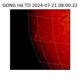 gong - 2024-07-21T08:00:22