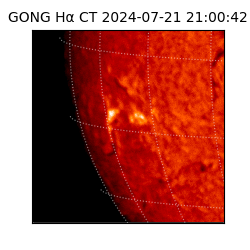 gong - 2024-07-21T21:00:42