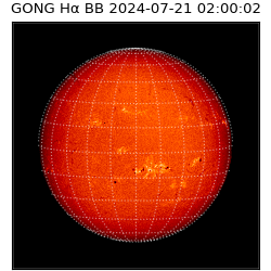 gong - 2024-07-21T02:00:02