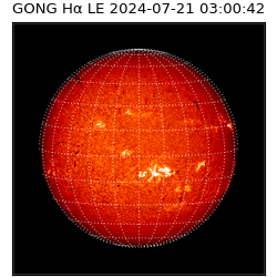 gong - 2024-07-21T03:00:42