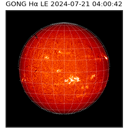 gong - 2024-07-21T04:00:42