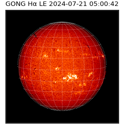 gong - 2024-07-21T05:00:42