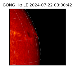 gong - 2024-07-22T03:00:42