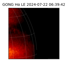 gong - 2024-07-22T06:39:42