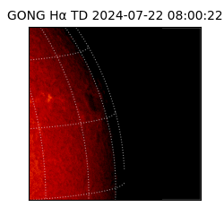 gong - 2024-07-22T08:00:22