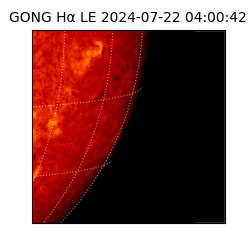 gong - 2024-07-22T04:00:42