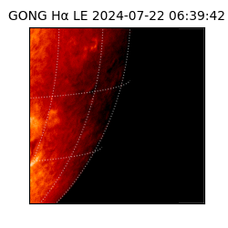 gong - 2024-07-22T06:39:42