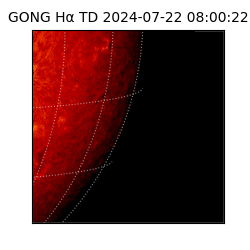 gong - 2024-07-22T08:00:22