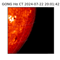 gong - 2024-07-22T20:01:42