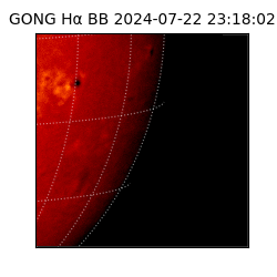 gong - 2024-07-22T23:18:02